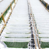 Algenol and Reliance launch algae production module