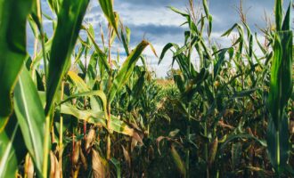 Growth Energy outlines 2021 biofuel policy priorities