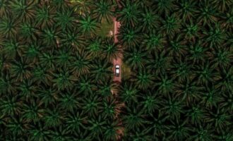 Malaysia files complaint with WTO on EU palm oil measures
