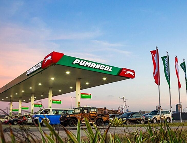 Trafigura acquires Sonangol's stake in Puma Energy