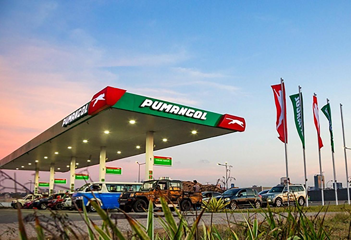 Trafigura acquires Sonangol's in Puma Energy - F&L Asia