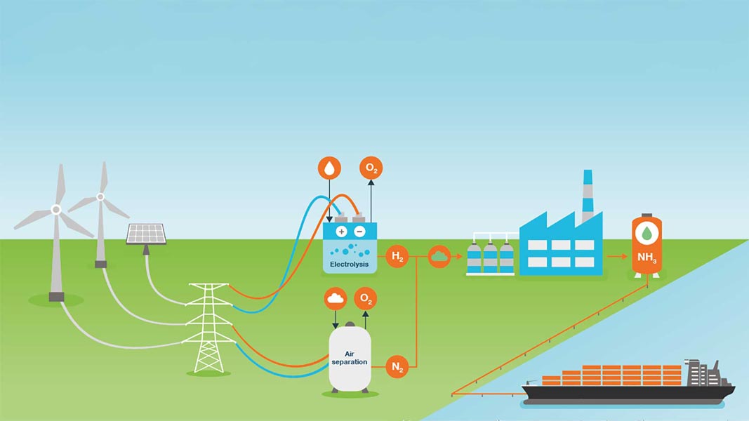 The future of marine fuels: Ammonia or methanol?