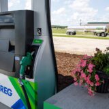 Renewable diesel to outstrip biodiesel supply in U.S.