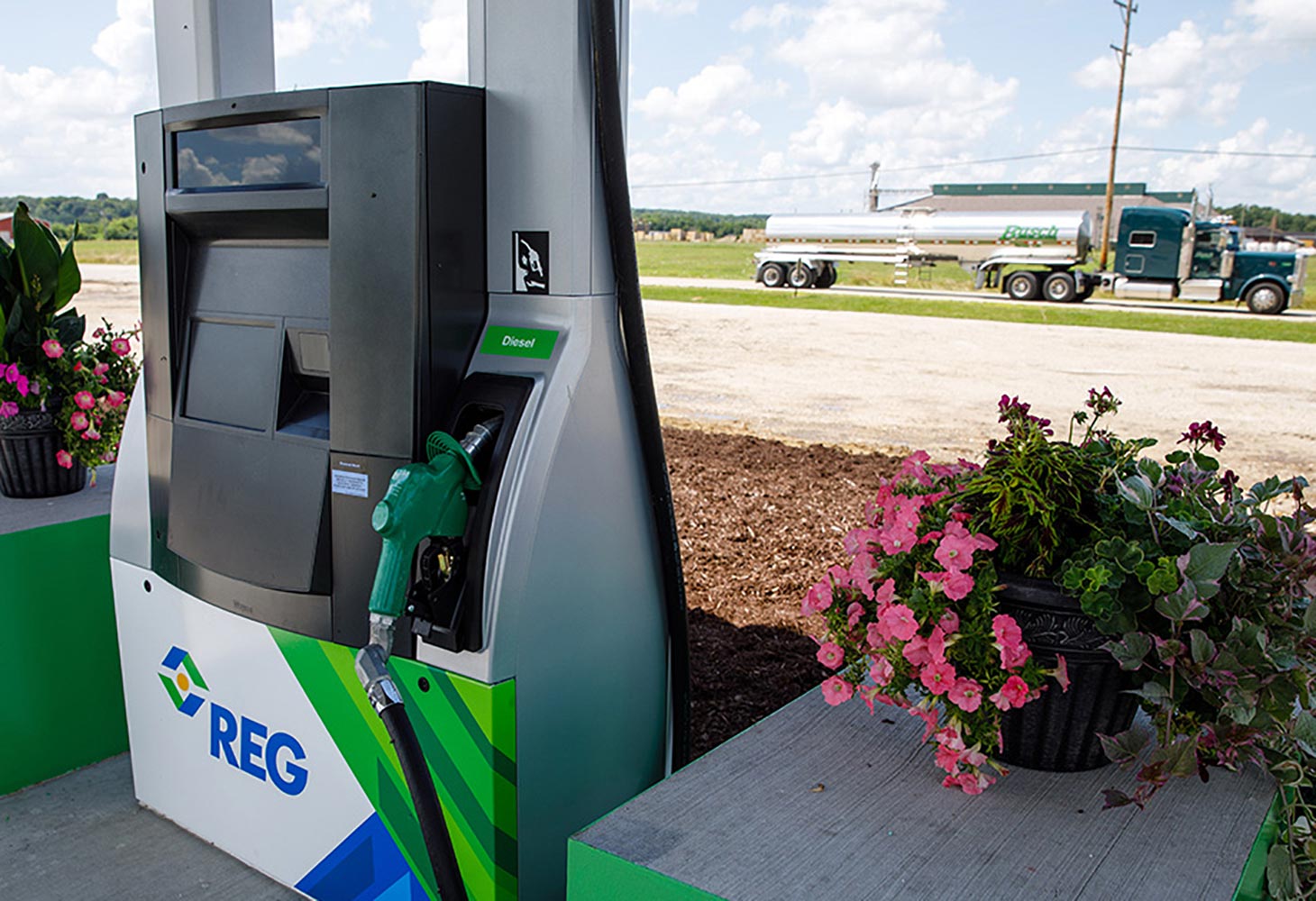 Renewable diesel supply to outstrip biodiesel supply in U.S.