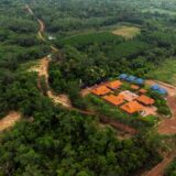 TotalEnergies to invest in sustainable forestry in SE Asia