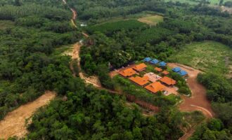 TotalEnergies to invest in sustainable forestry in SE Asia