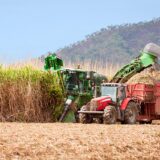 Afyren to build bio-based acid plant in Thailand with Mitr Phol