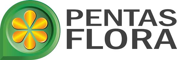 PF-New-Logo-04